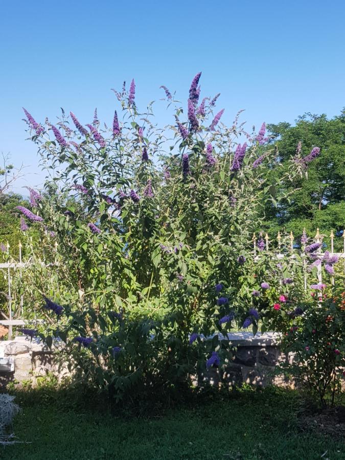 Apartmani Adria Opatija Exteriör bild