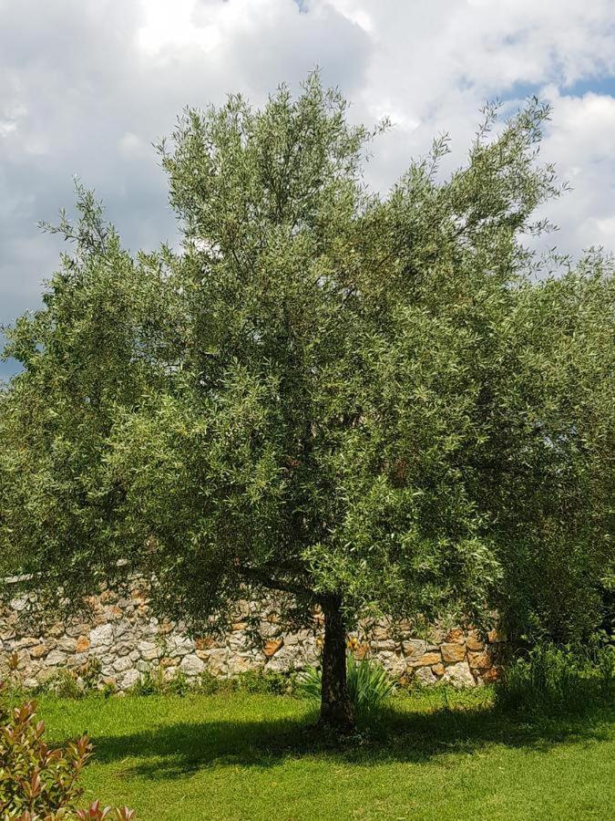 Apartmani Adria Opatija Exteriör bild