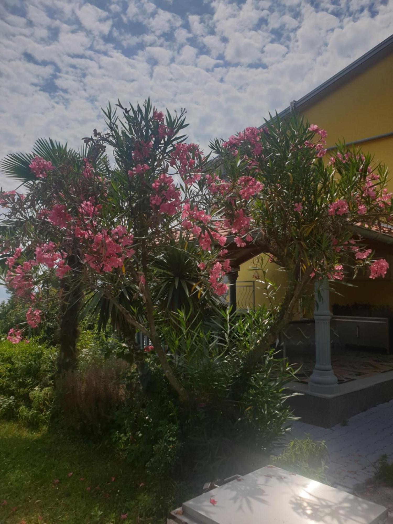 Apartmani Adria Opatija Exteriör bild